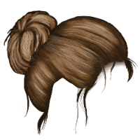 Bun Brown Hair