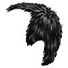 Black 12