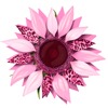Light-Pink