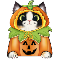 Pumpkin Shorthair