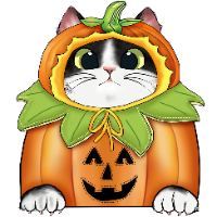 Pumpkin Longhair