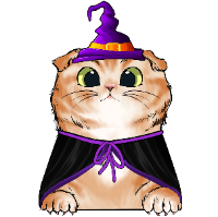 Witch Scottish Fold