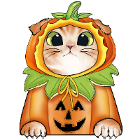 Pumpkin Scottish Fold