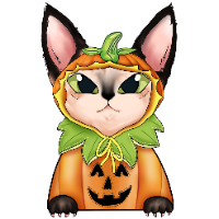Pumpkin Sphynx