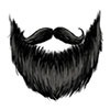 9-Black-Verdi