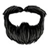 4-Black-Van-Dyke