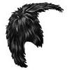 Black 12