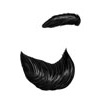 Black 16