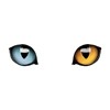 Yellow-Blue