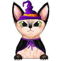 Witch Sphynx