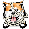 Akita 1
