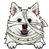 American Eskimo