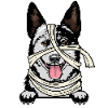 Australian Cattle Dog 2