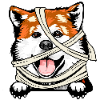 Akita 2