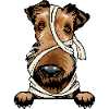 Airedale Terrier
