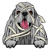 American Cocker Spaniel 3