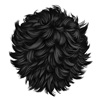 Black 45