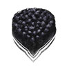Black 6