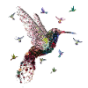 Hummingbird