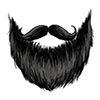9-Black-Verdi