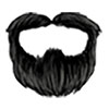 4-Black-Van-Dyke