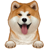 Akita 1