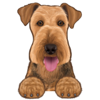 Airedale Terrier