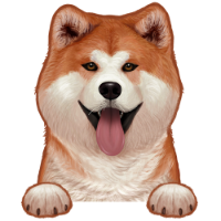 Akita 4