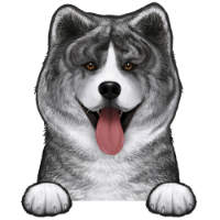 Akita 3