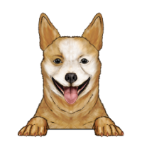 Australian Cattle Dog (Heeler) 3