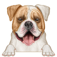 American Bulldog 2