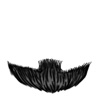 Black 5