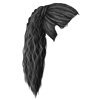 Black 16