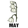 Lily Of The Valley