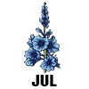 Larkspur