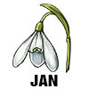 Snowdrop