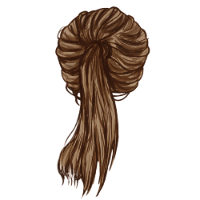 Ponytail Brown Hair