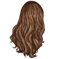 Long Brown Hair