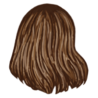 Short Brown Hair