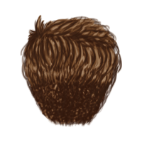 Crew Cut Brown Hair