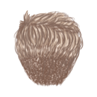 Crew Cut Light Blonde Hair