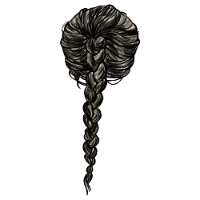 Braided Black Hair