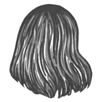 Short Gray Hair