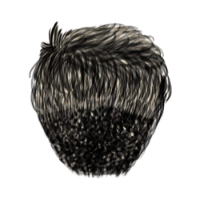 Crew Cut Black Hair