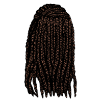 Braided Hair