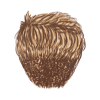 Crew Cut Blonde Hair