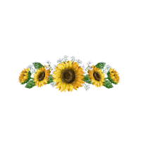 Flower 3