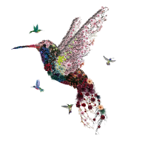 Hummingbird