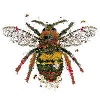 Bee
