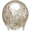 32_0